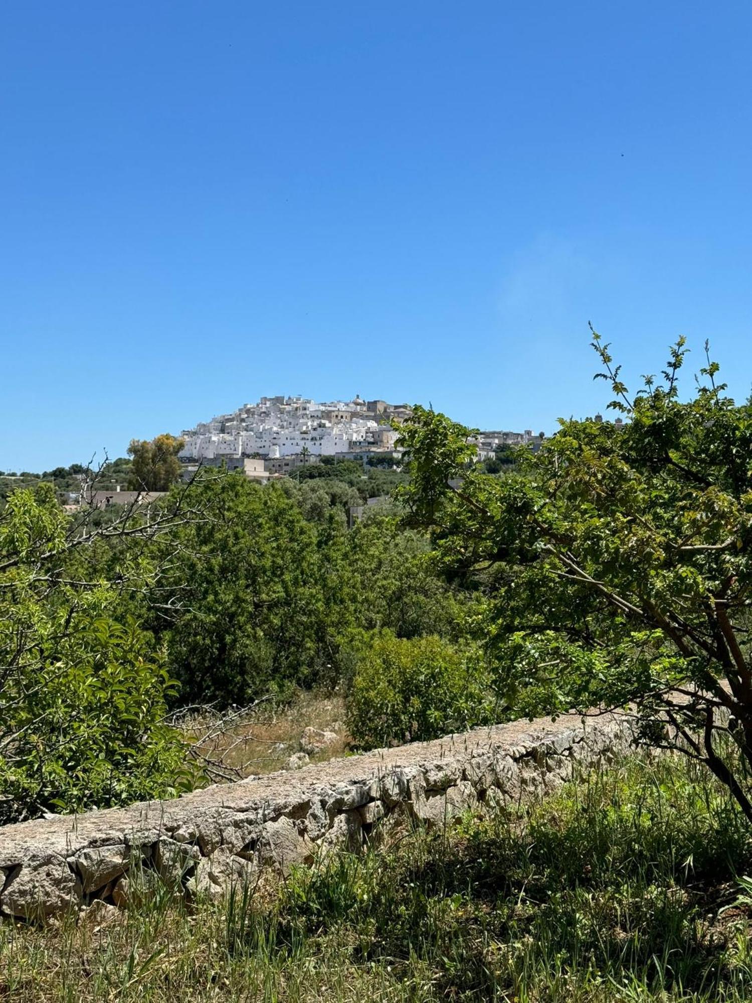 Bellavista Ostuni
