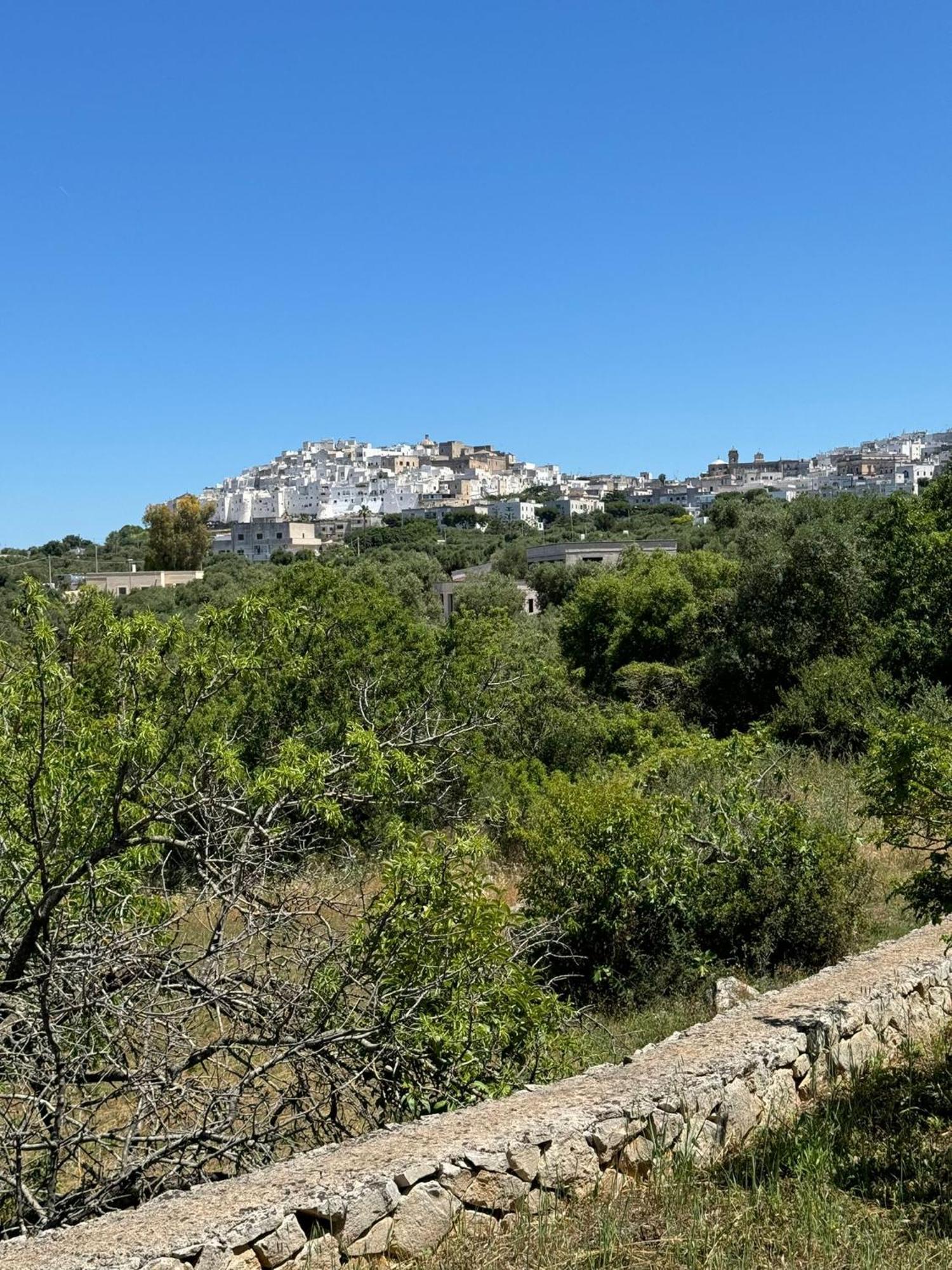 Bellavista Holiday home Ostuni